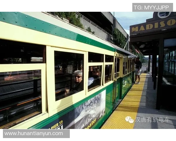 多伦多与休斯敦的城市魅力对比探讨生活方式与文化差异